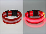 Collar de seguridad LED - Perros - Gatos - Collar de nylon