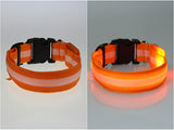 Collar de seguridad LED - Perros - Gatos - Collar de nylon