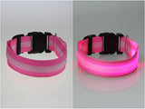 Collar de seguridad LED - Perros - Gatos - Collar de nylon