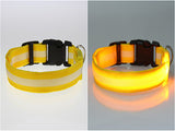 Collar de seguridad LED - Perros - Gatos - Collar de nylon