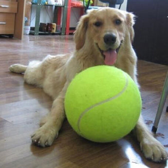 Bola de tenis gigante 24cms para perros